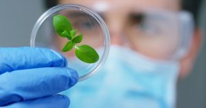 environmental recruiters